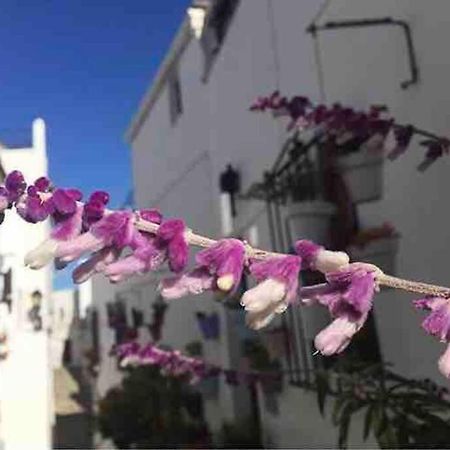 Villa Casa Arena Y Sal En Pleno Casco Antiguo De Vejer Vejer de la Frontera Exterior foto
