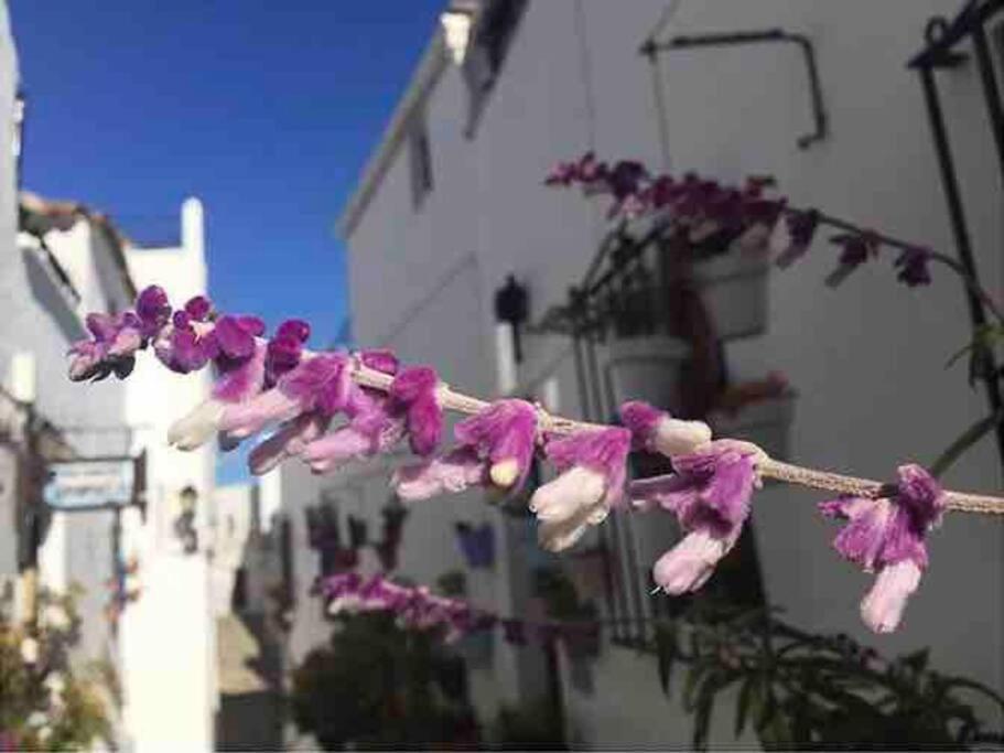 Villa Casa Arena Y Sal En Pleno Casco Antiguo De Vejer Vejer de la Frontera Exterior foto